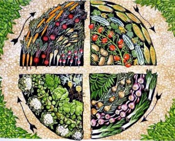 ����������: ��� ��������� ����������� ��� ������������ �����������