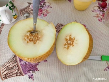 ����������� ����������� ������� ���������: ��� ���� ����� ���������� �������