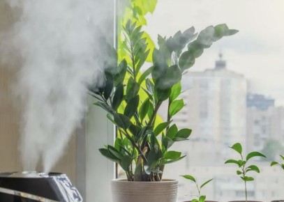 ��� ��������� ��������� �������� � �������� ������ �������: 7 ������� �������