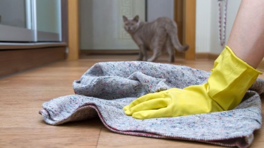 Π�������� ����������� ����� ������: ��� ��� ��������� ��� �����