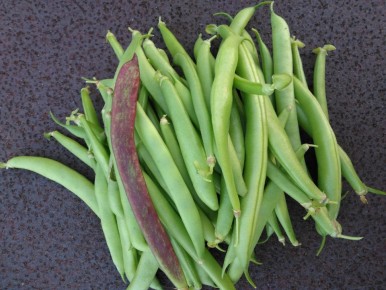 ��� ������ ������������ � ������������ ������� ������ �� ��������� �������