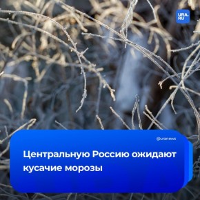 ������ ����������� �� ����������� ������