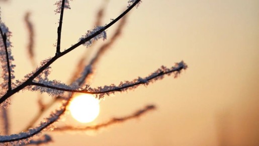 ������� ������ �� ����������� �� ���������� ���������� ����