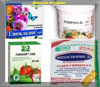 ��������� ������ ������� ��� ���������: ������� ������������ ����������