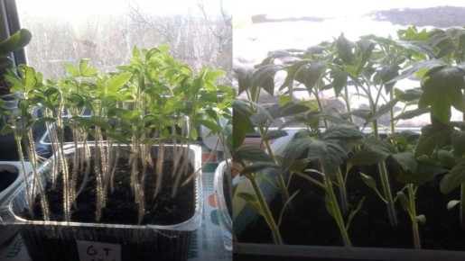 ��� �������� ���������������� ������ ��� ����������� ������� ���������