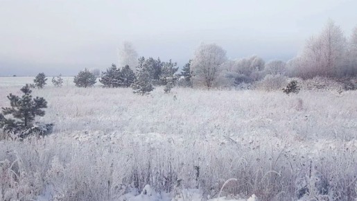 ������� ������ �� ����� �� ���������� ���������� ����