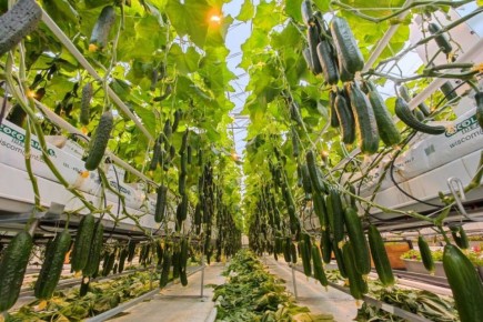 �������� ��������� ������ � ��� ������������� ���� � ������� �����, ����� ����, ��������������� ������ � ���������� ��������� �������� ��������