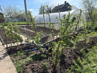 ������������ �������: ����������� ��� ������ ����� �����