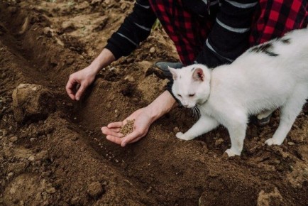 ���� ������ ������: �������� ������ ��� �������� � �����������