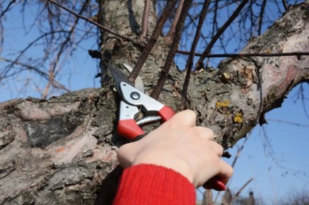 ��� ������� ����� ��������� ������: ������ �������� ��� ������ ����