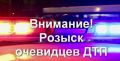 Полиция просит откликнуться очевидцев ДТП
