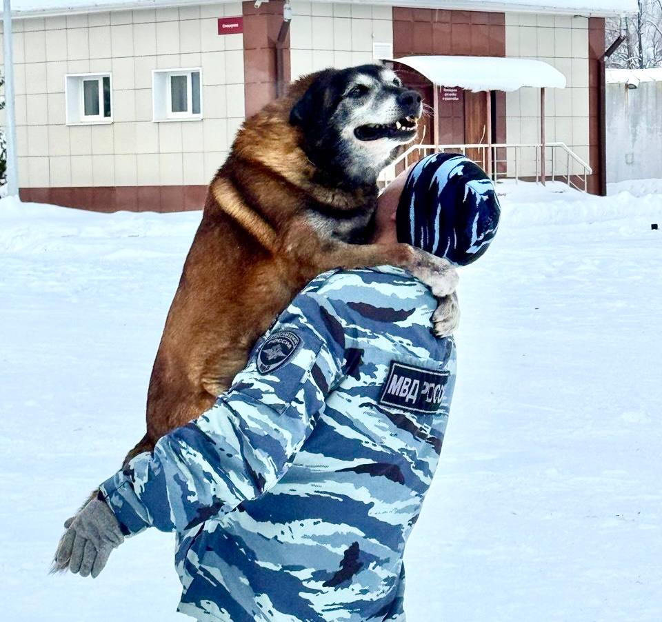 Центр кинологической службы УМВД России по Рязанской области стал площадкой для студенческого десанта Центр кинологической службы УМВД России по Рязанской области стал площадкой для студенческого десанта