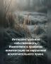 Новые правила компенсации за нарушение исключительных прав в России