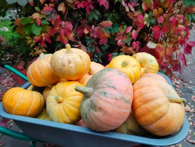 ��� ������� 18 ���� ��� �������: ���������� � ����