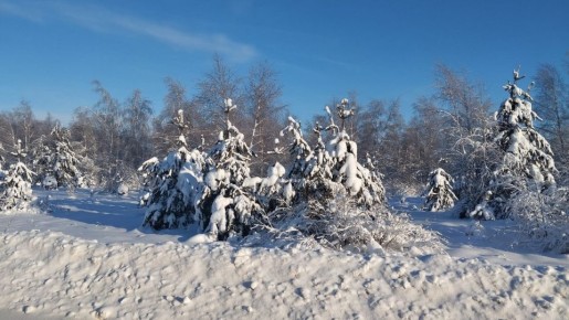 ������� ������ ������� ����������� �����