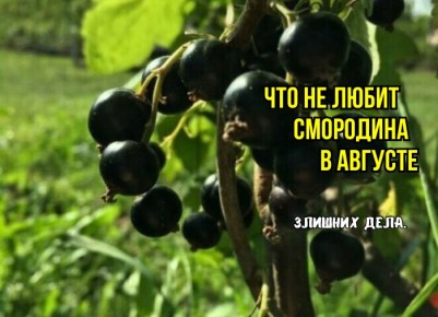 ��� ������ ��������� � �������: ������� ������ � ���������� ������ � �������� �����