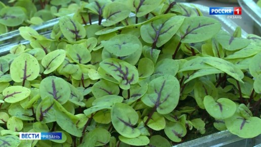 � ���������� �������������� ������� �������� ������� ����������� �����������