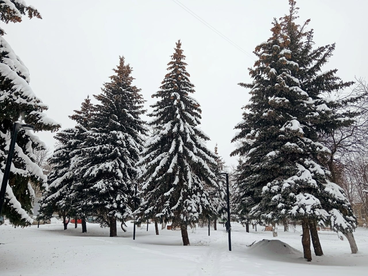 Прогноз погоды на четверг от синоптиков Рязанского ЦГМС