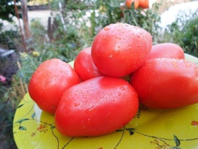 ����� ������: ��������� ���������� ������������ � ������������ ����� �����������