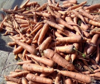 ��� ��������� ������� � �������������� �������: ��������� ���������� � ������������ ��������