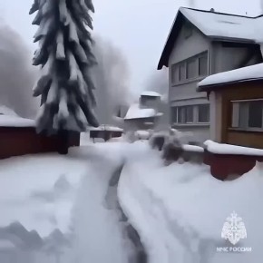 ��������: ��������������� ����������������� �������