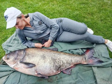 Толстолобик — речная находка: омега?3 как у лосося, рекорды и простые рецепты