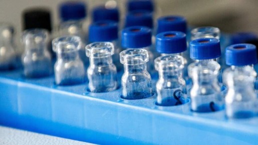 Липид дальневосточной рыбы может восстановить мозг после травм