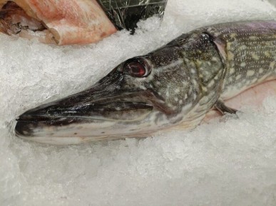 ����� ����� ���� � ������������: ������ ������ ��� ���������