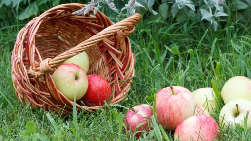 �� �������� ����� �� ���� ���������� ���� �����: ���������� ��� ������� � ��������