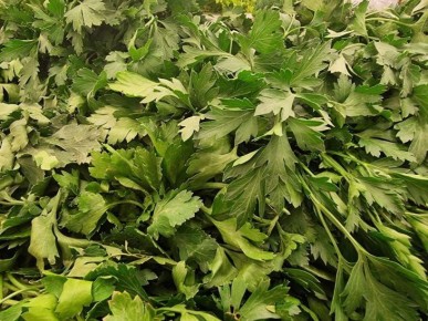 ��� ��������� ������ ������ ��������: ������ ������������