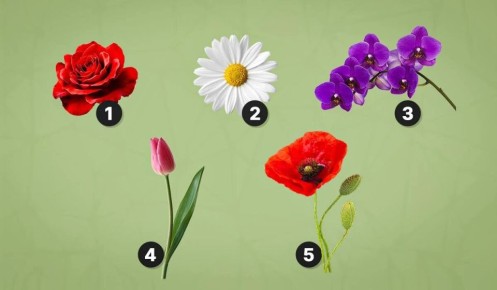 Цветы как отражение души: пройдите тест и узнайте о себе больше