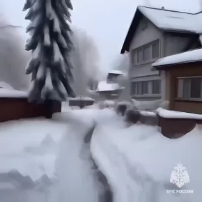 ��������: ��������������� ����������������� �������