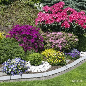 Как продлить летнее цветение: секреты ухода за цветами