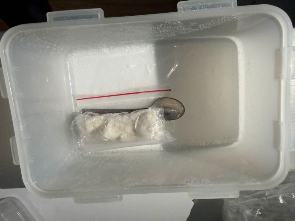 Полицейские изъяли у жителя Рязани партию мефедрона и марихуаны