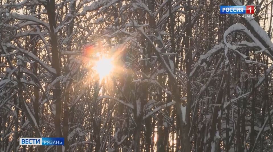 � ��������� ������� �������� ������