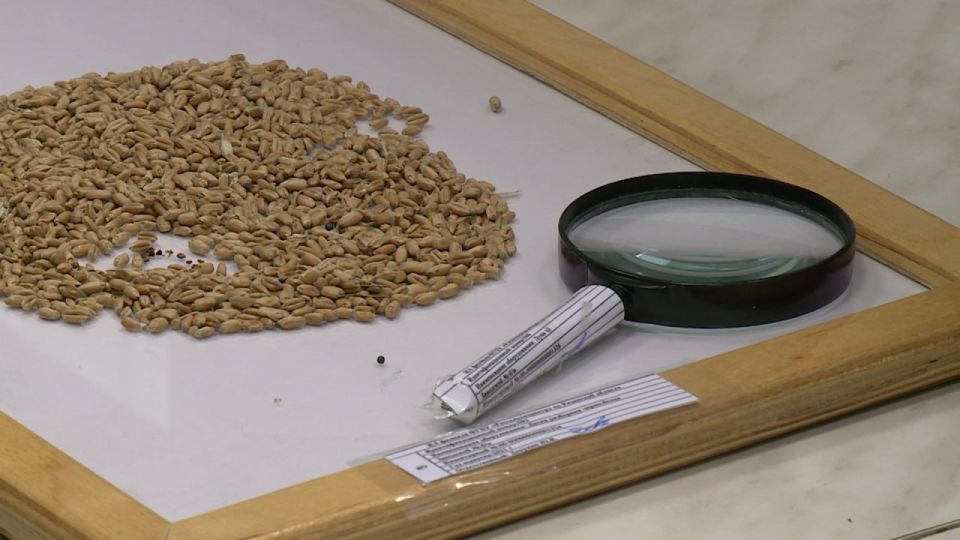 �� ����������� �� ����: ��� �������� ������