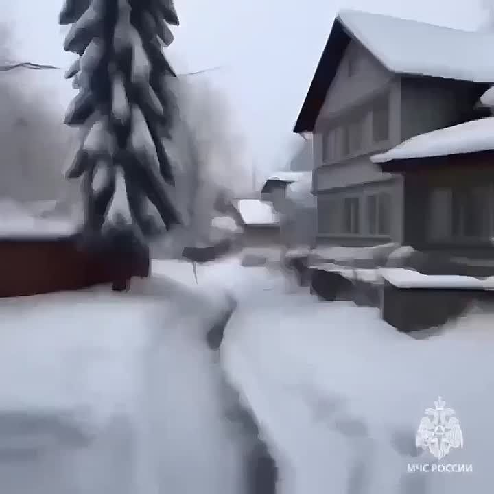 ��������: ��������������� ����������������� �������