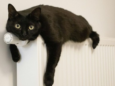 ����� ������ �� ������������� ���� �� ��������� ���������: ������� ���������� ���������