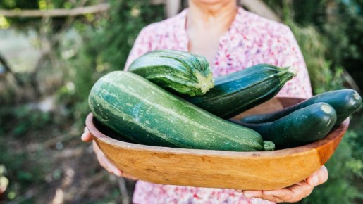 ������� �������� ��������� �������: ��� �������� ������ ������� �� ��� ���