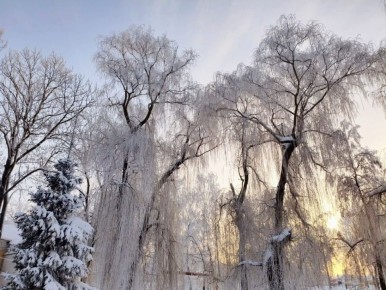 ������� ������ �� ������� �� ���������� ���������� ����