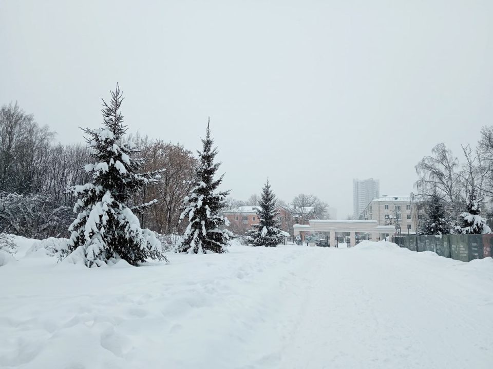 ������� ������ �� ����������� �� ���������� ���������� ����