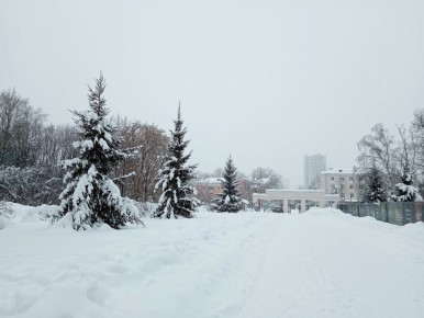 ������� ������ �� ����������� �� ���������� ���������� ����