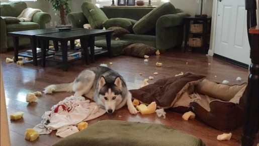 ������� ����������� �������� �� �������� ��������: ������� ���� ��������