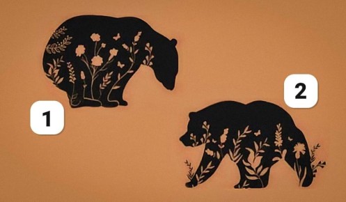 �������� ���� ����: ������� � ����� ������ ���������