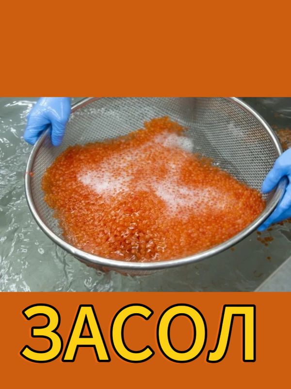 ������� ����: ������� � ������� ��������