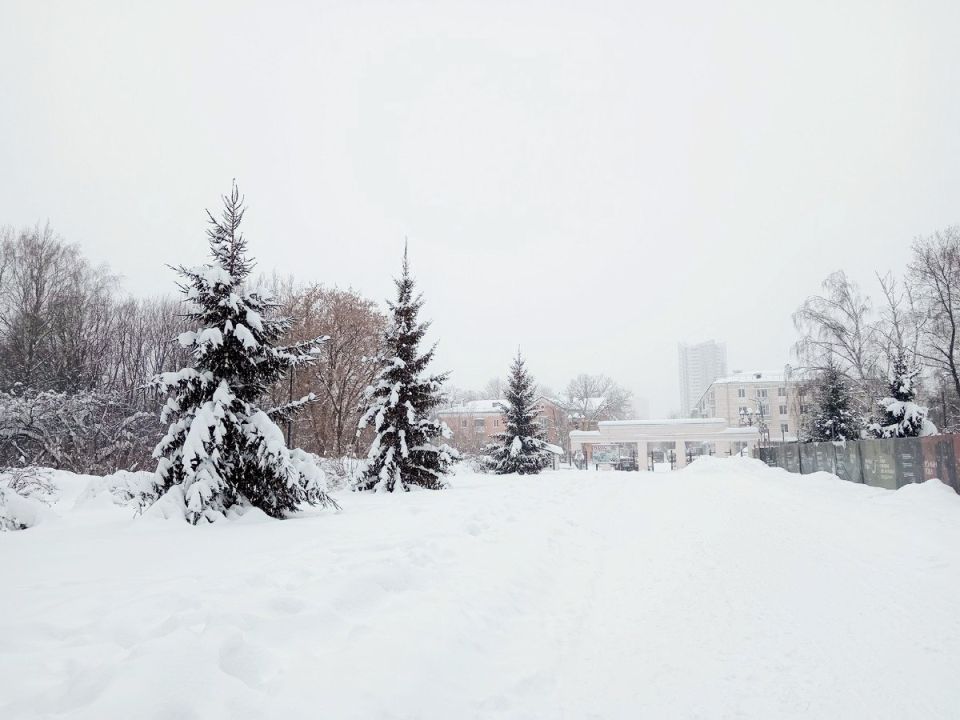 ������� ������ �� ����� �� ���������� ���������� ����