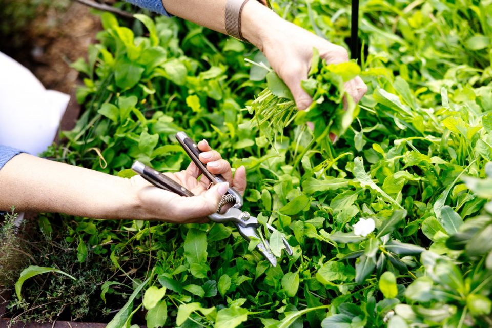 �������� ���: ��� � ����� ������ ��� ��������� ������