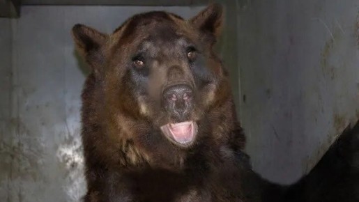 ������� ����, ��� ���� � ������� ������ ������������� ������, 10 ������� ����������� ������ ���