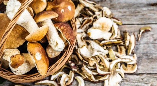 ������� ������������� ������� ������