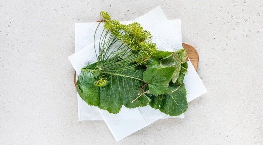 ��� ���������� ������� �������� �� ����: ��������� ������